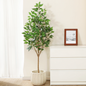 Artificial Ficus Tree